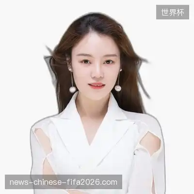 武巧